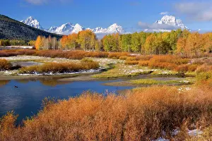 Oxbow: 80188064 Snake River Oxbow - mountain landscape