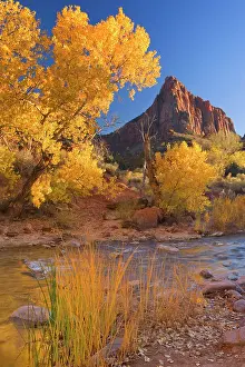 Watchman: 80188141 The Watchman - red cliffs of mountain called