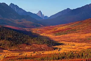 Tombstone: 80188174 Tombstone Mountains - colourful autumn