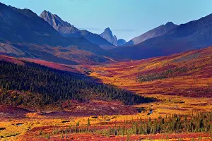 Tombstone: 80188175 Tombstone Mountains - colourful autumn