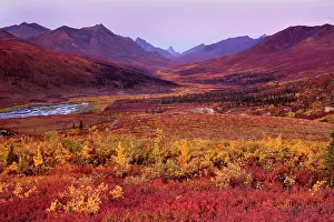 Tombstone: 80188176 Tombstone Mountains - colourful autumn