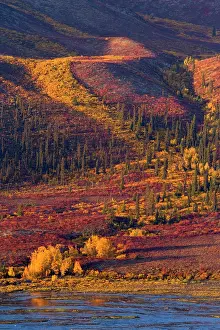 Tombstone: 80188177 Tombstone Mountains - river flows through