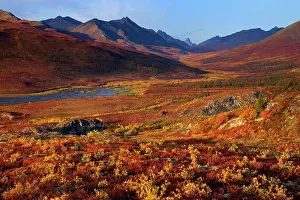 Tombstone: 80188179 Tombstone Mountains - river flows through