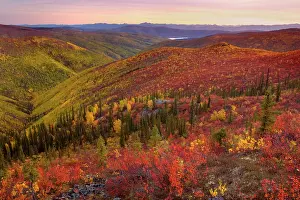 Highway: 80188186 Top of the World Highway - tundra landscape