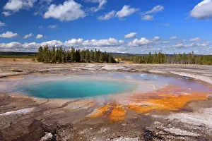 Brightly: 80188196 Turquoise Pool - brightly turquoise coloured