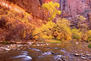 Walls: 80188223 Virgin River Canyon - red sandstone walls
