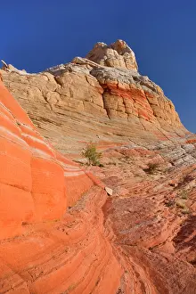 Artfully: 80188242 White Pocket - artfully sculpted rock formations