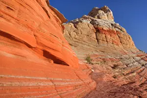 Artfully: 80188243 White Pocket - artfully sculpted rock formations