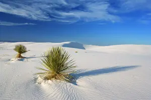 Steffen & Alexandra Sailer: 80188262 White Dunes - sea of white gypsum dunes