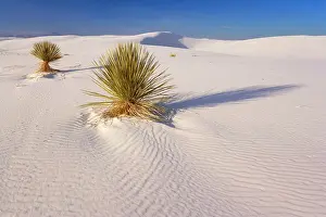Steffen & Alexandra Sailer: 80188263 White Dunes - sea of white gypsum dunes