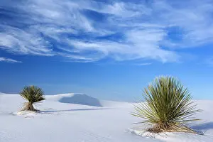 Steffen & Alexandra Sailer: 80188272 White Dunes - sea of white gypsum dunes