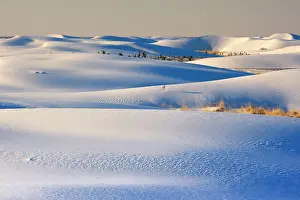 Steffen & Alexandra Sailer: 80188275 White Dune - light and shadow showing off