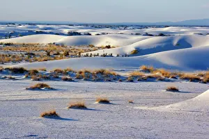 Steffen & Alexandra Sailer: 80188276 White Dune - light and shadow showing off