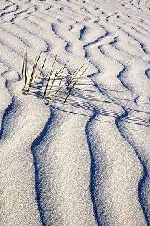 Steffen & Alexandra Sailer: 80188277 White Dunes - sea of white gypsum dunes