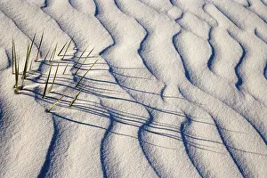 Steffen & Alexandra Sailer: 80188278 White Dunes - sea of white gypsum dunes
