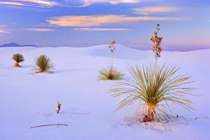 Steffen & Alexandra Sailer: 80188280 White Dunes - sea of white gypsum dunes