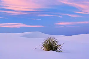 Steffen & Alexandra Sailer: 80188281 White Dunes - sea of white gypsum dunes