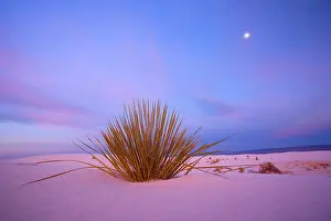 Steffen & Alexandra Sailer: 80188283 White Dunes - sea of white gypsum dunes