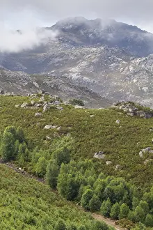 Serra: 80188384 Serra do Xures Natural Park Galicia, Spain