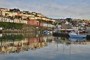Port: 80188642 Brixham Harbour Devon, UK David Chapman