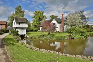 Trust: 80188643 Brockhampton National Trust Estate Herefordshire