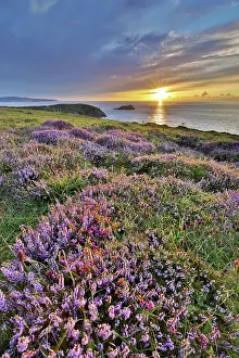 Godrevy: 80188698 Seascape - at sunset Godrevy, Cornwall
