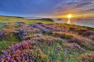 Cornwall: 80188699 Seascape - at sunset Godrevy, Cornwall