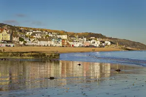 Dorset: 80188732 Lyme Regis Dorset, UK David Chapman All