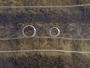 Puddle: 80189120 Icy surface of frozen water puddle Germany