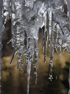 Icicle: 80189126 Icicle Gran Paradiso National Park, Italy