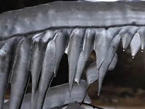 Icicle: 80189127 Icicle Gran Paradiso National Park, Italy