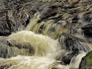 Brook: 80189179 Stream Ore Mountains, Germany Stefan Meyers