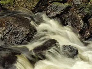 Brook: 80189180 Stream Ore Mountains, Germany Stefan Meyers