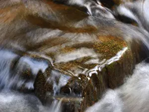 Brook: 80189181 Stream Ore Mountains, Germany Stefan Meyers