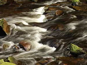 Brook: 80189182 Stream Ore Mountains, Germany Stefan Meyers