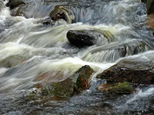 Brook: 80189183 Stream Ore Mountains, Germany Stefan Meyers
