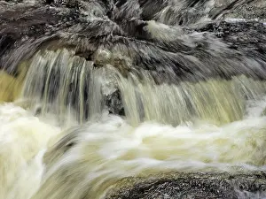 Brook: 80189184 Stream Ore Mountains, Germany Stefan Meyers