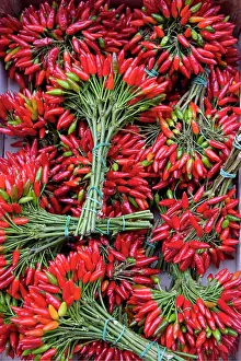Composition: 80189643 Hot Pepper Agenzia Giornalistica Fotografica