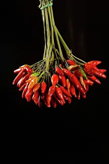 Composition: 80189644 Hot Pepper Agenzia Giornalistica Fotografica
