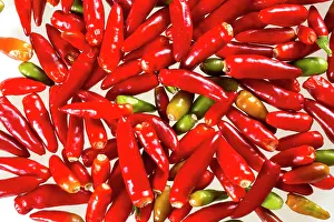 Composition: 80189646 Hot Pepper Agenzia Giornalistica Fotografica
