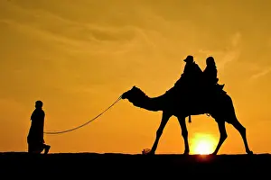 Towns: 80189660 Camel Ride - in desert Jaisalmer, Rajasthan