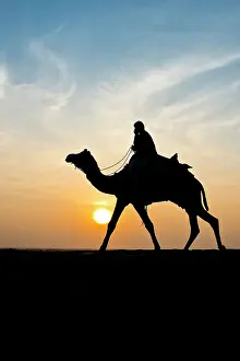 Towns: 80189661 Camel Ride - in desert Jaisalmer, Rajasthan