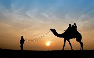 Towns: 80189662 Camel Ride - in desert Jaisalmer, Rajasthan