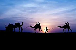 Towns: 80189664 Camel Ride - in desert Jaisalmer, Rajasthan