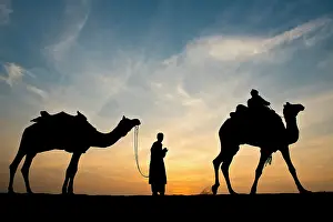 Towns: 80189665 Camel Ride - in desert Jaisalmer, Rajasthan