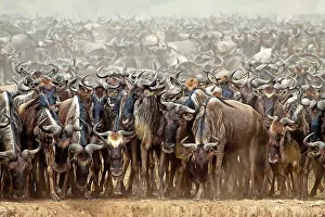 Powder: 80189760 Gnu - migration Kenya Agenzia Giornalistica