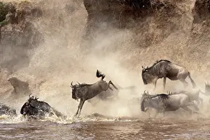 Powder: 80189761 Gnu - migration Kenya Agenzia Giornalistica