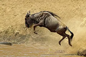 Powder: 80189762 Gnu - migration Kenya Agenzia Giornalistica