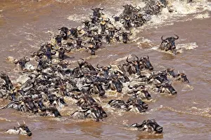 Powder: 80189763 Gnu - migration Kenya Agenzia Giornalistica