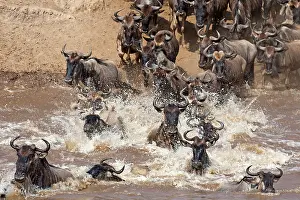Powder: 80189764 Gnu - migration Kenya Agenzia Giornalistica